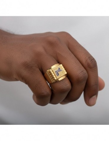 Chevalière or 750/1000 carte Guadeloupe bicolore